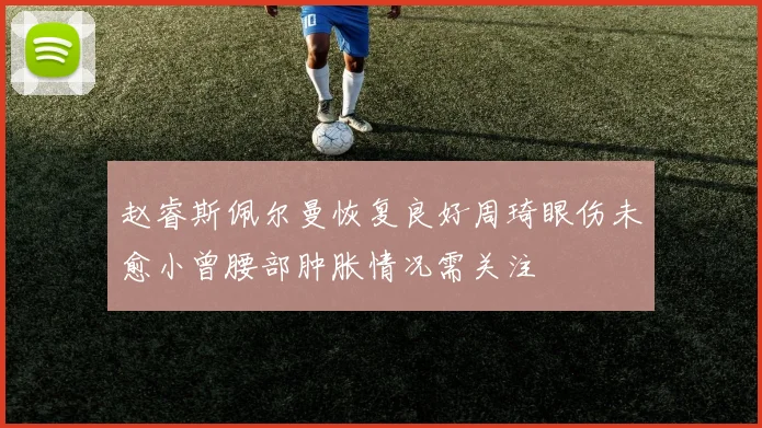 赵睿斯佩尔曼恢复良好周琦眼伤未愈小曾腰部肿胀情况需关注