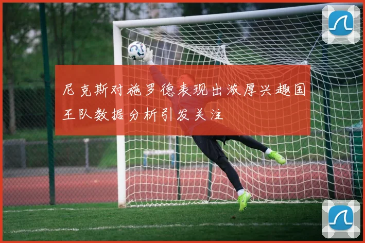 尼克斯对施罗德表现出浓厚兴趣国王队数据分析引发关注