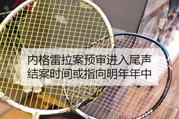 内格雷拉案预审进入尾声 结案时间或指向明年年中（jiangnan）